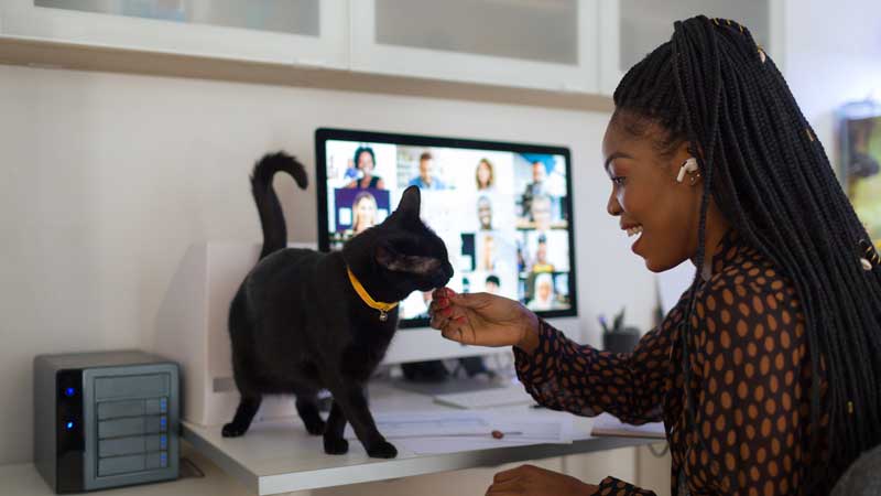年轻女性在家里和她的宠物猫进行视频通话