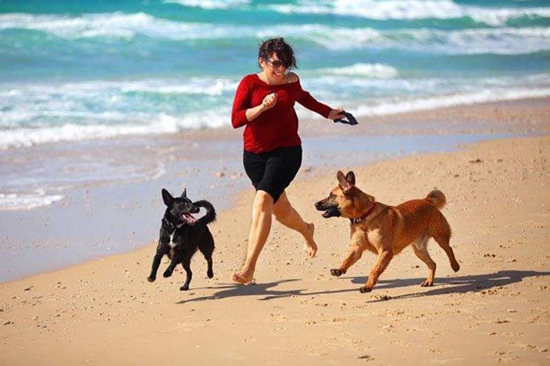 狗狗女人跑海滩