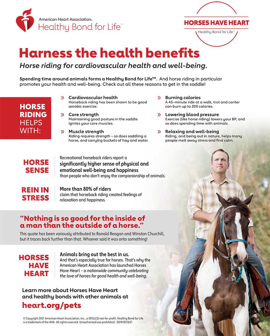 骑马有益于心血管健康和幸福信息图