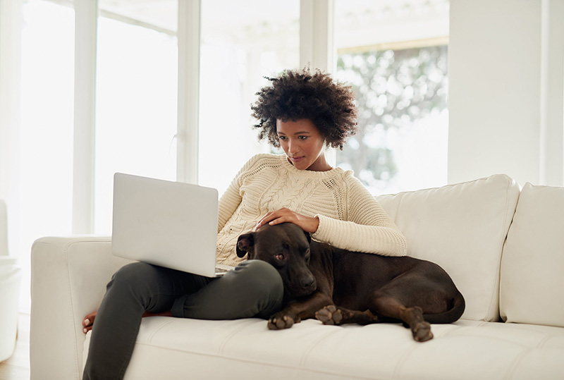 女人和狗在沙发上玩笔记本电脑