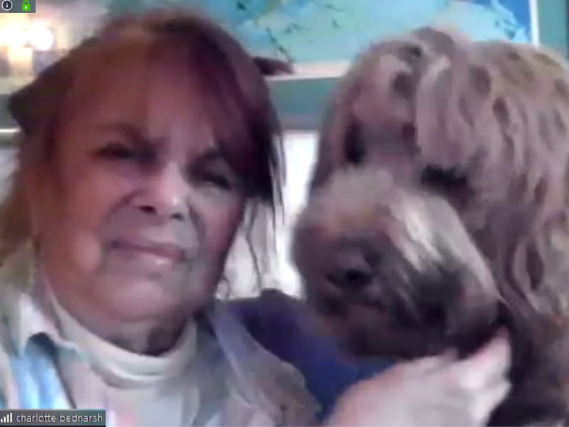 查理·贝纳什和她的狗阿提克斯，在最近的一次Zoom通话中。